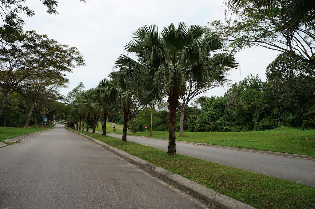 Afamosa Purple Dream Residence Condotel Homestay Malacca Extérieur photo